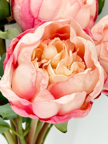 Product: 10 Stems Cream Artificial Wedding Flowers,Dried Pink Peonies for Home Decoration Gifts Decor(NO VASE) for Wedding/Home Decoration(Cream)