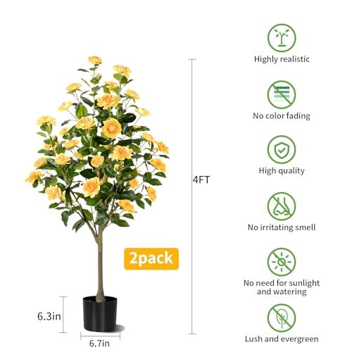 Product: Hylmiip Artificial Camellia Tree 2 Pack, Artificial Plants Outdoor Faux Floral Plant in Cement Pot Fake Silk Camellia Tree Plants for Home House Living Room Office Decor (Yellow, 4 FT)