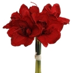 Product: 12.5" Amaryllis Bundle - Set of 12 - Realistic Artificial Flowers for Home Decor, Weddings, and Events - Lifelike Blooms for Christmas, Holiday, and Winter Themes