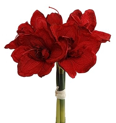Product: 12.5" Amaryllis Bundle - Set of 12 - Realistic Artificial Flowers for Home Decor, Weddings, and Events - Lifelike Blooms for Christmas, Holiday, and Winter Themes
