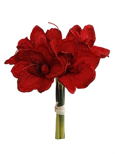 12.5" Amaryllis Bundle - Set of 12 - Realistic Artificial Flowers for Home Decor, Weddings, and Events - Lifelike Blooms for Christmas, Holiday, and Winter Themes - Artificial Flower Arrangements Product: 12.5" Amaryllis Bundle - Set of 12 - Realistic Artificial Flowers for Home Decor, Weddings, and Events - Lifelike Blooms for Christmas, Holiday, and Winter Themes