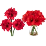 Product: Briful 2 Pack Red Amaryllis Artificial Flower Bundle for Home Office Room Table Vase Arrangement Centerpiece