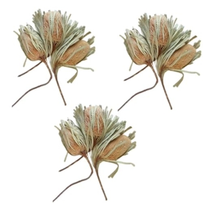 Product: 3 Bunches Dried Banksia Bush,Preserved, Dried Protea Flowers for Home Floral Decor, Wedding Arrangement Centerpiece(NO VASE) Used for Dining Table Center, Wedding Parties, and
