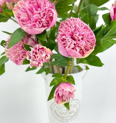 Product: 3PCS 2-Heads Pink Peony Flowers,Artificial Beautiful Plants for Wedding Home Table Centerpieces Decoration Floral Arrangement (NO VASE) for Wedding/Home Decoration