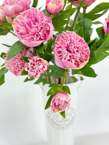 Product: 3PCS 2-Heads Pink Peony Flowers,Artificial Beautiful Plants for Wedding Home Table Centerpieces Decoration Floral Arrangement (NO VASE) for Wedding/Home Decoration
