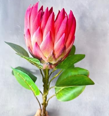 Product: Bright Real Touch King Protea Stem, Large Head Artificial Flower for Centerpieces | DIY Floral | Wedding/Home Decoration Gifts, Anniversary, Birthday Used for dining table center, wedding parties, and