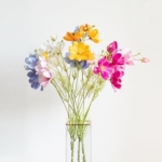 Product: Anna & Alyssa 10 Pcs Artificial Cosmos Silk Flowers - Wedding Bouquets, Table Centerpieces & Party Decorations for Home, Kitchen, Office (Mixed Color)