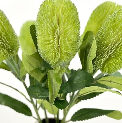 Product: 5 Stems Banksia Protea Stem,Green Artificial Long Stem Flower for Table Centerpieces Wedding Party Home Decoration Indoor(NO VASE)