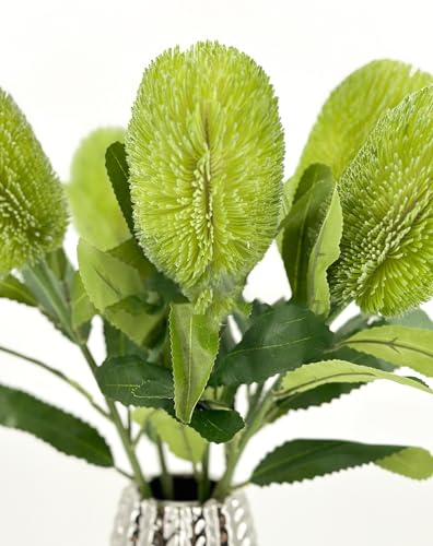 Product: 5 Stems Banksia Protea Stem,Green Artificial Long Stem Flower for Table Centerpieces Wedding Party Home Decoration Indoor(NO VASE)