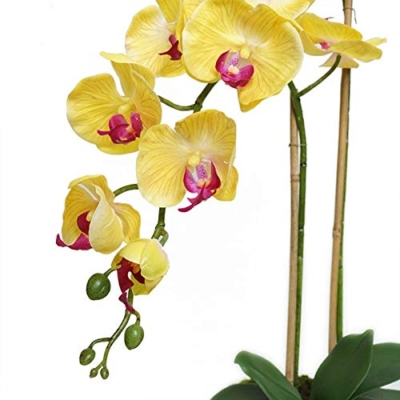 Product: Faux Yellow Orchid Flower, Artificial Phalaenopsis in Vase, Elegant Romantic Flower for Decorating Home, Office, Dinning Room, Bedroom Or Hotel Table Centerpiece Office Wedding Party Decoration