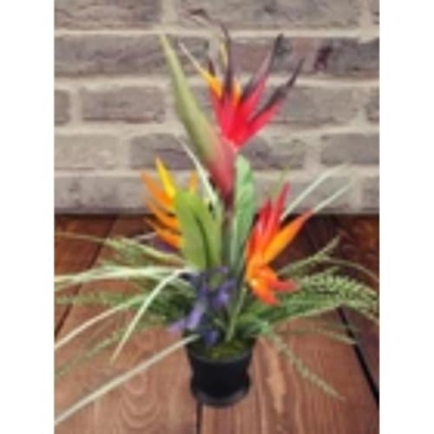 Product: Potted Bird of Paradise Table Decoration, Weddings, Centerpiece Or Artificial Flowers
