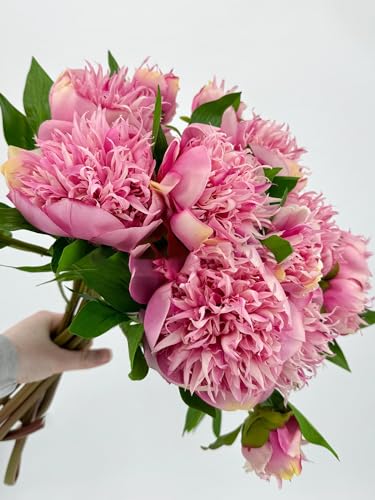 Product: 3PCS 2-Heads Pink Peony Flowers,Artificial Beautiful Plants for Wedding Home Table Centerpieces Decoration Floral Arrangement (NO VASE) for Wedding/Home Decoration
