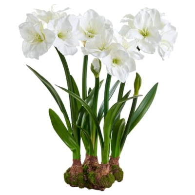 Product: 30" Standing Silk Amaryllis Flower Arrangement w/Bulb Base -White