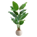 Product: Artificial Bird of Paradise Plant, Outdoor Fake Tropical Banana Tree – Perfect Faux Plants for Indoor, Plant in Pot for Home Decor(160cm/62.9in)