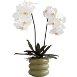 Product: Artificial Orchid Flower with Ceramics Vase Set White Phalaenopsis Flower Faux Orchid Faked Flowers Potted Plants, 23.6" H Table Centerpiece Office Wedding Party Decoration