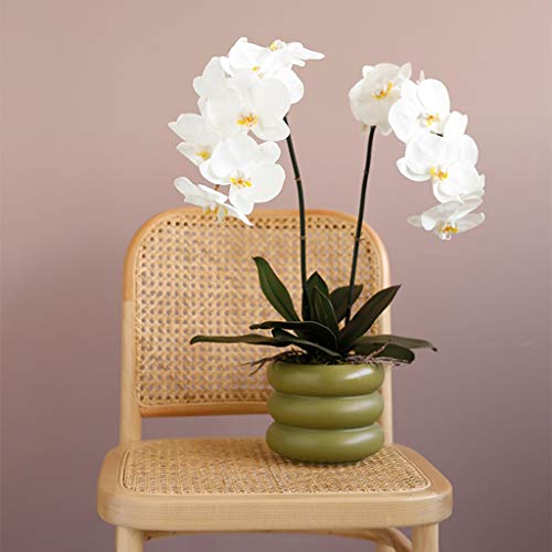 Product: Artificial Orchid Flower with Ceramics Vase Set White Phalaenopsis Flower Faux Orchid Faked Flowers Potted Plants, 23.6" H Table Centerpiece Office Wedding Party Decoration