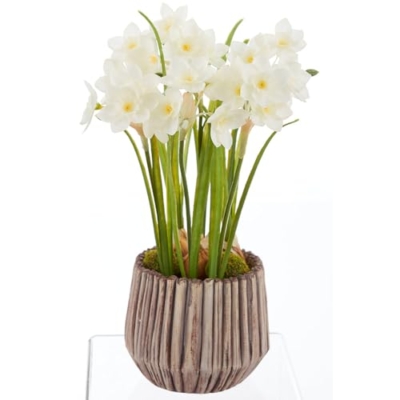Product: 14" Narcissus Daffodil with Bulb Silk Flower Arrangement w/Cement Pot -White (Pack of 4)