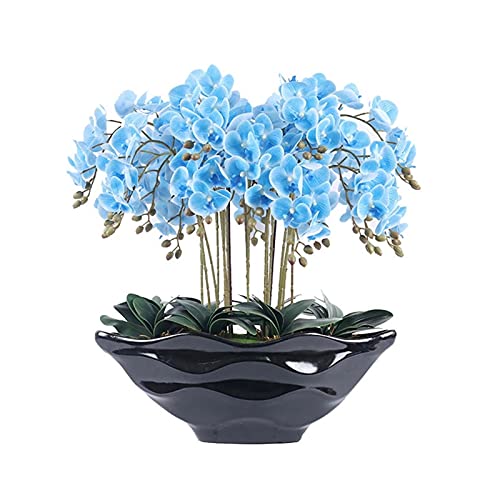 Product: Artificial Flower Bonsai with Vase Large Artificial Butterfly Orchid with Ceramic Black Flowerpot, Silk Orchid Artificial Flower Plastic Flower, Used for Home Decoration Arrangements Table Decor