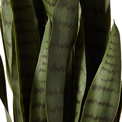 Silky Flower Store Artificial Sansevieria Plant, Nearly Natural Green 4855 Black Planter, Faux Indoor Decor 35in. 18 18 Product: Nearly Natural, Green 4855 35in. Sansevieria with Black Planter