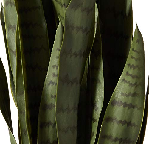 Silky Flower Store Artificial Sansevieria Plant, Nearly Natural Green 4855 Black Planter, Faux Indoor Decor 35in. 8 8 Product: Nearly Natural, Green 4855 35in. Sansevieria with Black Planter