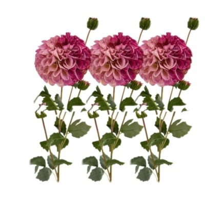 Product: 3PCS 31" Purple Dahlia Flowers,Realistic Artificial Dahlia for Wedding Home Table Centerpieces Decoration Floral Arrangement (NO VASE)