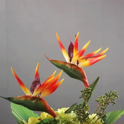 Silky Flower Store Artificial Bird of Paradise Flowers in Pot, Faux Real Touch Red Decor, 42cm 6 6 Product: Artificial Bird of Paradise Flowers in Pot Modern Real Touch Flower Arrangement Faux Plants for Home Decor Indoor Table Centerpiece (Red)