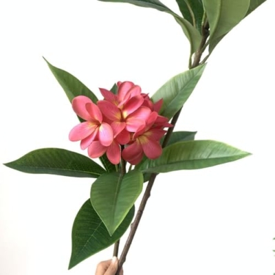 Product: MinLia Artificial Frangipani Flower DIY Flower Arrangements, Real Touch Silk Flower for Home Office Wedding Party Decoration(Rose)