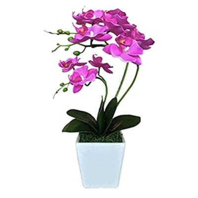 Product: QWQZZRZK 15" Artificial Phalaenopsis w/Porcelain Vase Indoor Silk Orchid Fake Plants in Pot Faux Flowers Arrangements for Living Room Table Centerpieces Home Decor