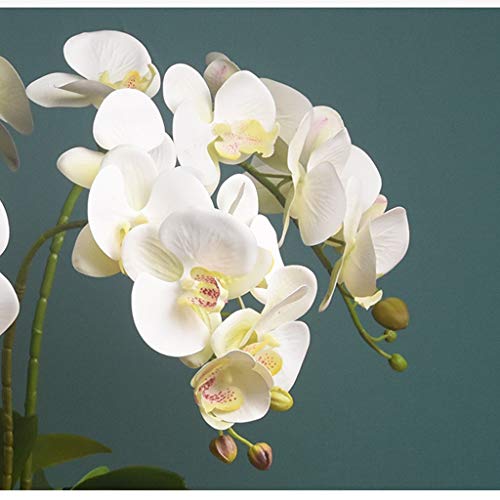 Product: JZZJSBX 6 Heads Artificial Orchid with Ceramic Pot Set Artificial Phalaenopsis Flower Faux Orchid for Home/Bedroom/Parlor/Dining Room Decor Table Centerpiece Office Wedding Party Decoration