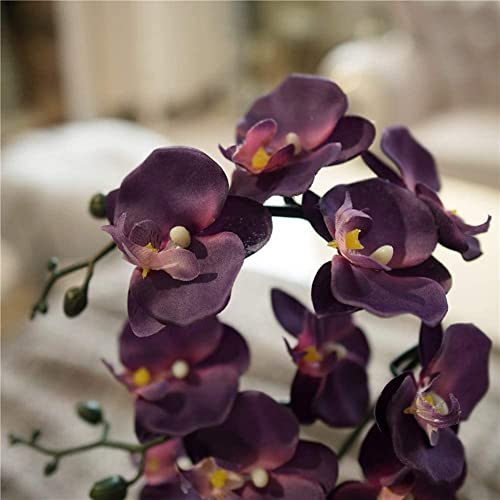 Silky Flower Store Artificial Phalaenopsis Orchid Porcelain Vase, Indoor Silk Orchid Arrangement, Home Decor, 4.33in 2 2 Product: 15" Artificial Phalaenopsis w/Porcelain Vase Indoor Silk Orchid Fake Plants in Pot Faux Flowers Arrangements for Living Room Table Centerpieces Home Decor