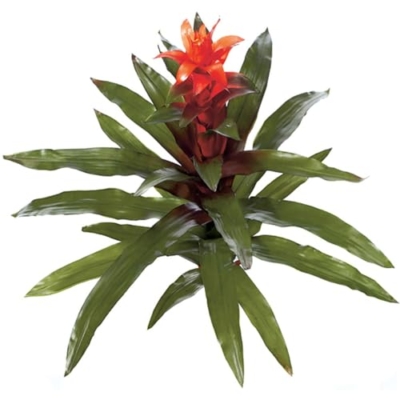 Product: SilksAreForever 30" Artificial Guzmania Bromeliad Plant Flower Bush -Orange (Pack of 2)