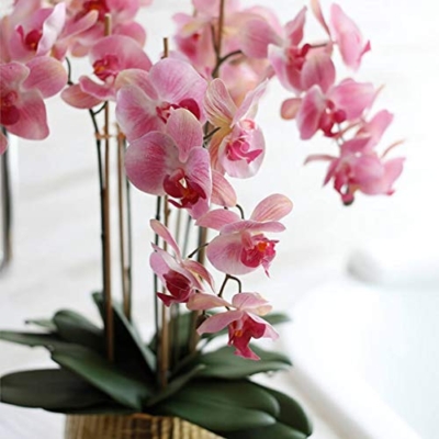 Product: LOPAYUHB Artificial Orchid with Vase, 5 Heads Pink Phalaenopsis, Faked Silk Flowers Plant, Artificial Flower for Home Decor Table Centerpiece Office Wedding Party Decoration