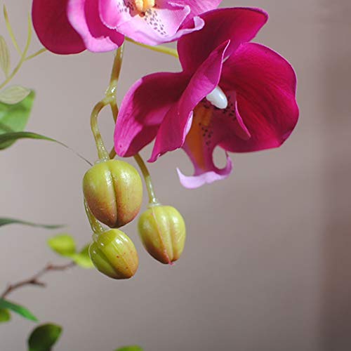 Product: JZZJSBX Artificial Flower with Ceramic Pot Set Artificial 2 Heads Phalaenopsis Faux Orchid for Home/Bedroom/Parlor/Dining Room Decor, 21" H Table Centerpiece Office Wedding Party Decoration