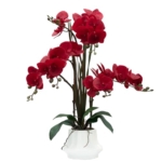Product: CXGS Artificial Orchid Flower Plant 20.9'' Real Touch Faux Orchids in Ceramic Vase Red Fake Phalaenopsis Flower Arrangement Silk Orchids with Stems for Centerpiece Table Home Indoor Decor