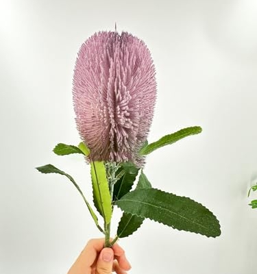 Product: 5 Stems Banksia Protea Stem,Purple Artificial Long Stem Flower for Table Centerpieces Wedding Party Home Decoration Indoor(NO VASE)