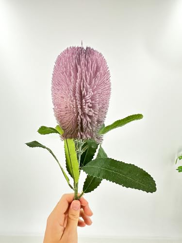 Product: 5 Stems Banksia Protea Stem,Purple Artificial Long Stem Flower for Table Centerpieces Wedding Party Home Decoration Indoor(NO VASE)