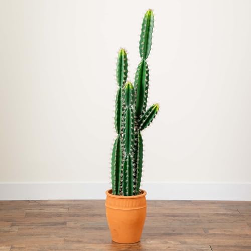 Silky Flower Store Artificial Cactus Terracotta Planter, Nearly Natural Faux Succulent, Desert Style Home Decor, 5ft. 6 6 Product: Nearly Natural 5ft. Artificial Cactus in Terracotta Planter