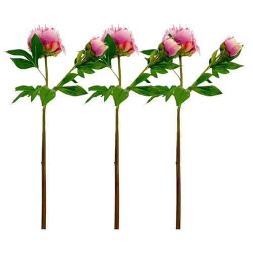Product: 3PCS 2-Heads Pink Peony Flowers,Artificial Beautiful Plants for Wedding Home Table Centerpieces Decoration Floral Arrangement (NO VASE) for Wedding/Home Decoration