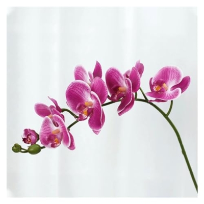 Product: DUYHBAWRS Phalaenopsis Orchid Home Decoration, Living Room Decoration, Artificial Flowers, Bonsai Decorations,(A)