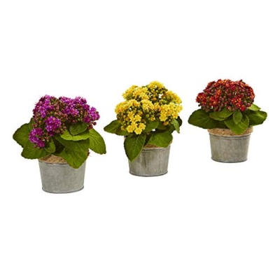 Product: Nearly Natural Kalanchoe Artificial Arrangements (Set of 3)