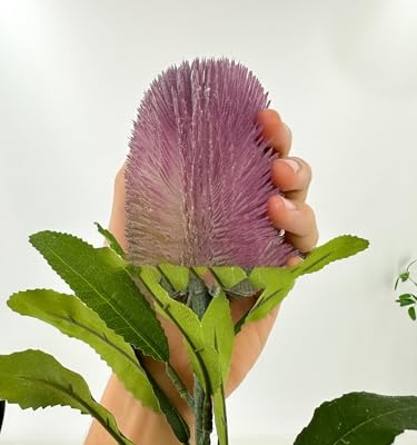 Product: 5 Stems Banksia Protea Stem,Purple Artificial Long Stem Flower for Table Centerpieces Wedding Party Home Decoration Indoor(NO VASE)