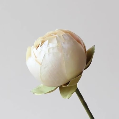 Product: WanderPanda 9 Stems Fake Flowers Artificial Flowers Faux Flowers Simulated Plant Artificial Lotus Suitable for Indoor Outdoor Party Wedding Decoration Lifelike Faux Bouquets Vase Not Included White