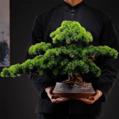 Silky Flower Store Artificial Bonsai Tree, Indoor Decorative Plant, Ceramic Planter, Welcome Pine Entrance, 32.5cm 9 9 Product: MOOWI Artificial Bonsai Tree Simulation Welcome Pine Entrance Desktop Indoor Bonsai Fake Plants Decorative Hotel Showroom Landscaping Artificial Trees Plants