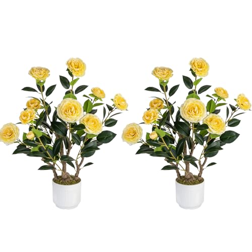 Jcezvnt 2 Pack Artificial Camellia Tree with White Pot, 24" Faux Potted Plants for Indoor Outdoor Decor, Tall Silk Greenery Plant for Home Office Living Room Balcony, Yellow - Artificial Flower Arrangements Product: Jcezvnt 2 Pack Artificial Camellia Tree with White Pot, 24" Faux Potted Plants for Indoor Outdoor Decor, Tall Silk Greenery Plant for Home Office Living Room Balcony, Yellow