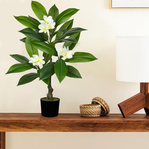 Product: Briful Artificial Plants Indoor 26.77'' Fake Tropical Plumeria Flowers Tree Plants in Black Pot Hawaiian White Plumeria Rubra Faux Frangipani Tree Floor Plant for Home Office Wedding Decor