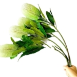 Product: 5 Stems Banksia Protea Stem,Artificial Long Stem Flower for Table Centerpieces Wedding Party Home Decoration Indoor(NO VASE)