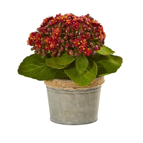 Silky Flower Store Nearly Natural Kalanchoe Artificial Arrangements Set of 3, Pink Yellow Red Blossoms, Faux Greenery Decor, 20.5cm 3 3 Product: Nearly Natural Kalanchoe Artificial Arrangements (Set of 3)