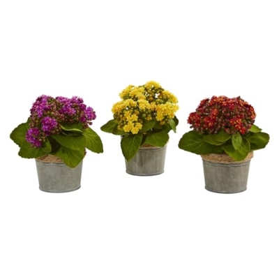 Silky Flower Store Nearly Natural Kalanchoe Artificial Arrangements Set of 3, Pink Yellow Red Blossoms, Faux Greenery Decor, 20.5cm 10 10 Product: Nearly Natural Kalanchoe Artificial Arrangements (Set of 3)