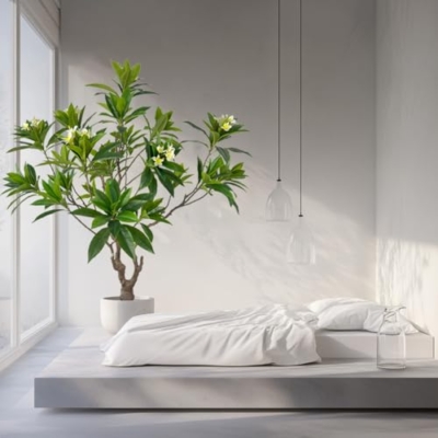 Product: Artificial PlumeriaTree with White Flowers, 7 ft Tall, Potted Plumeria Plant for Indoor Office Living Room Bedroom Garden