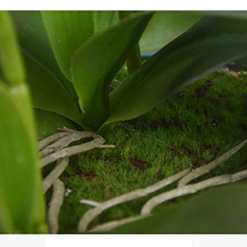 Product: QSYJCCXDL 6 Heads Artificial Orchid with Ceramic Pot Set Artificial Phalaenopsis Flower Faux Orchid for Home/Bedroom/Parlor/Dining Room Decor Table Centerpiece Office Wedding Party Decoration